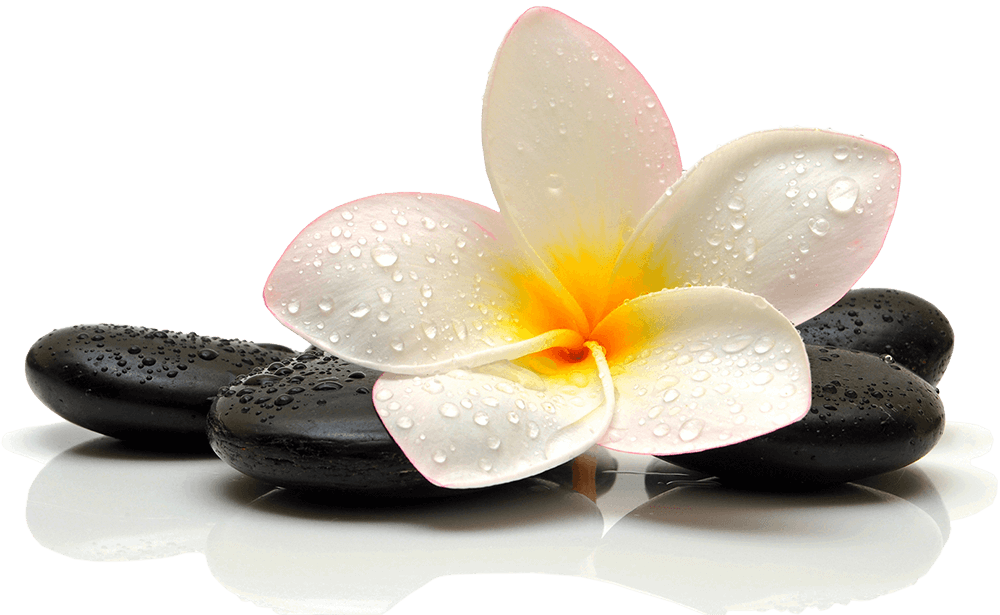Spa and beauty decor